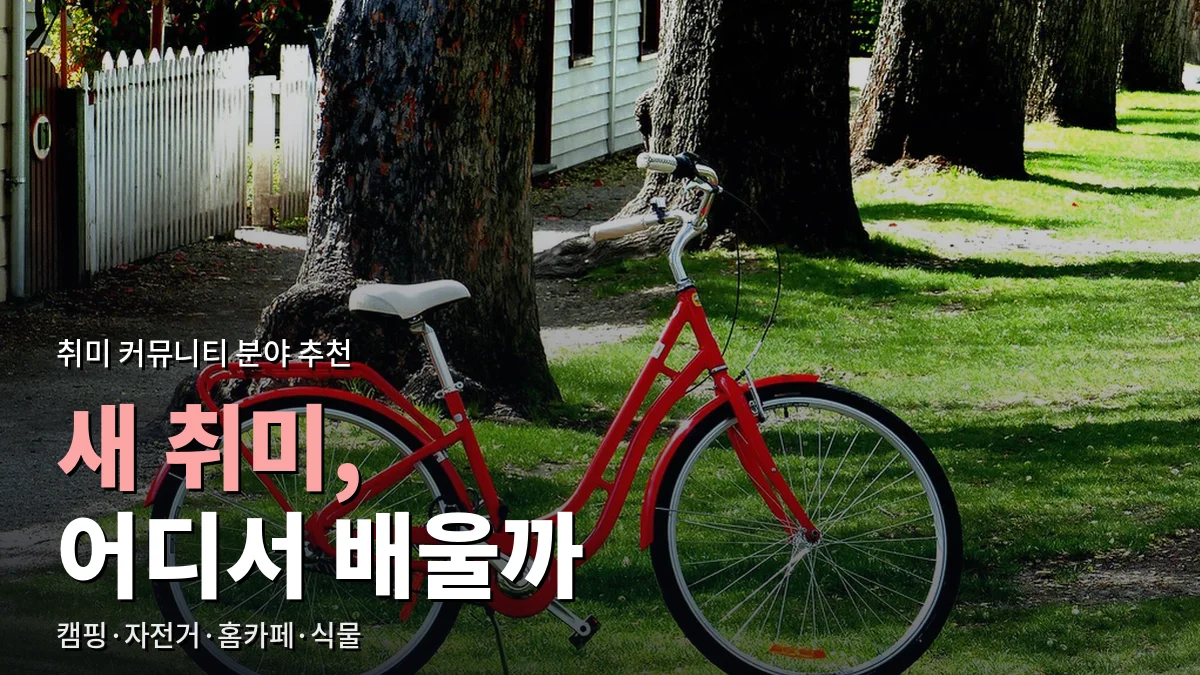 잔디밭 나무 옆에 세워 둔 빨간 자전거